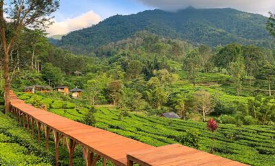 Destinasi Hits di Puncak Pass Bogor: Liburan Seru & Nyaman di Villa Blessing Hills